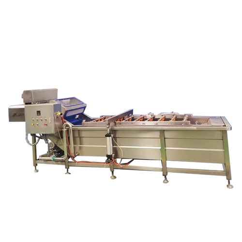 Automatic farm produce washing and processing line offering a turnkey solution for post-harvest cleaning.