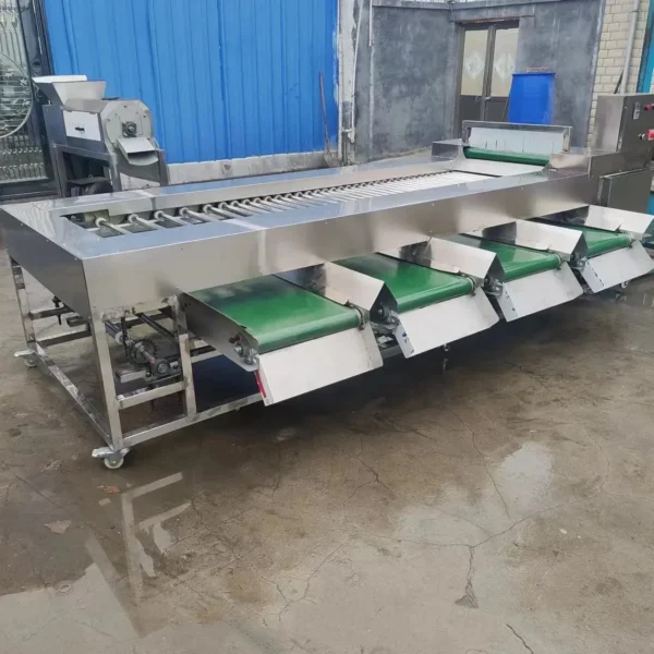 Roller Grading Machine - dffoodmachinery.com